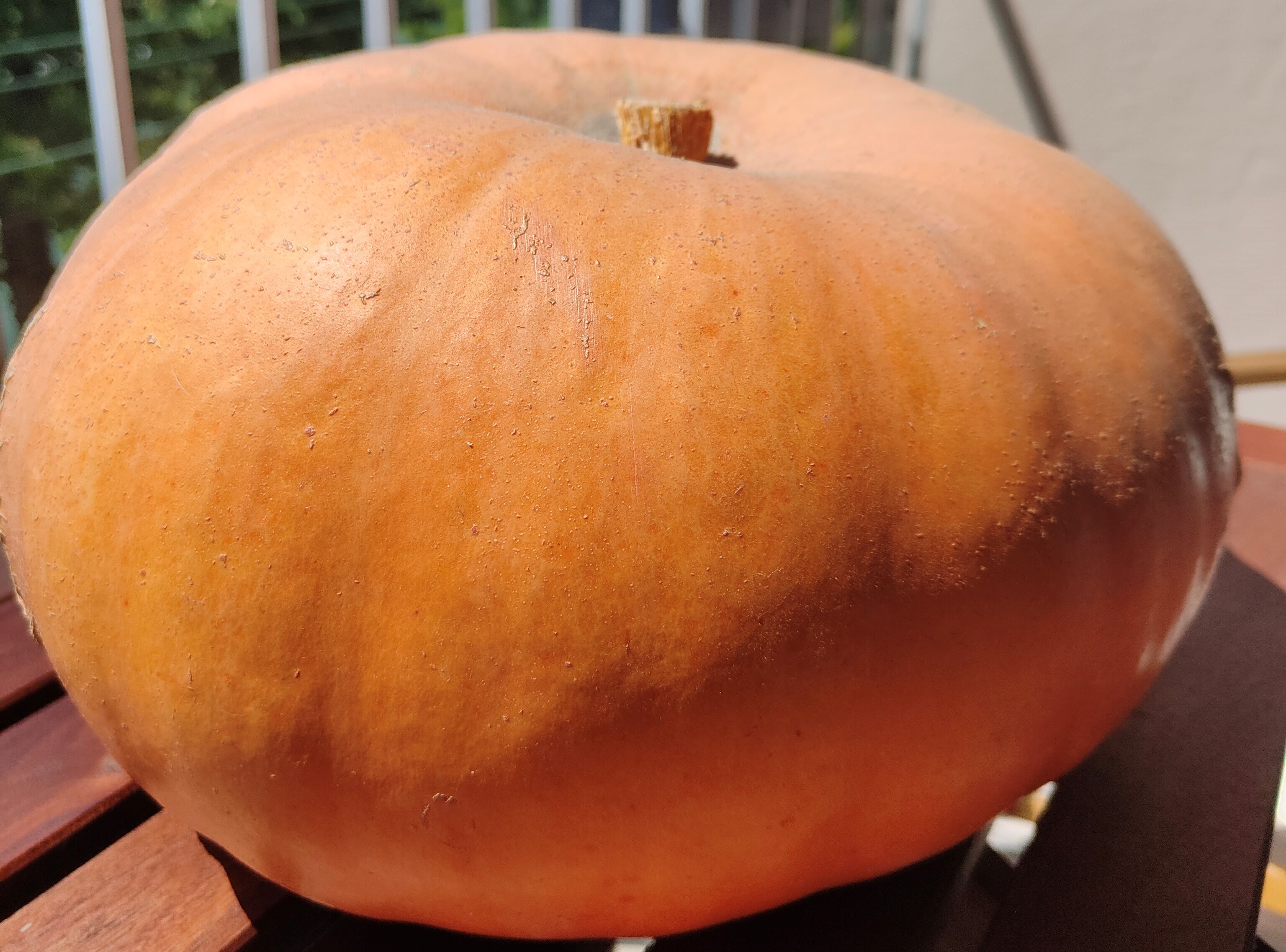 image d'une citrouille
