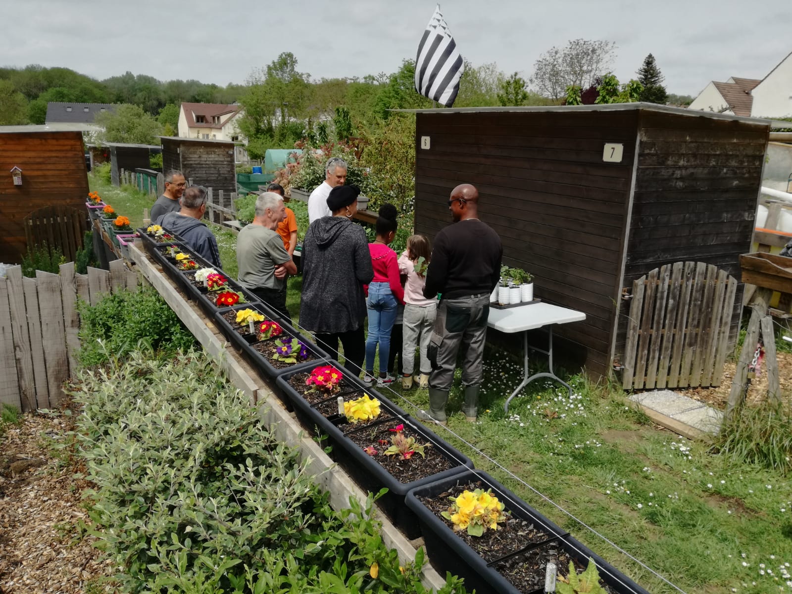image du jour de la distribution des semis par 
             l'association au jardiniers