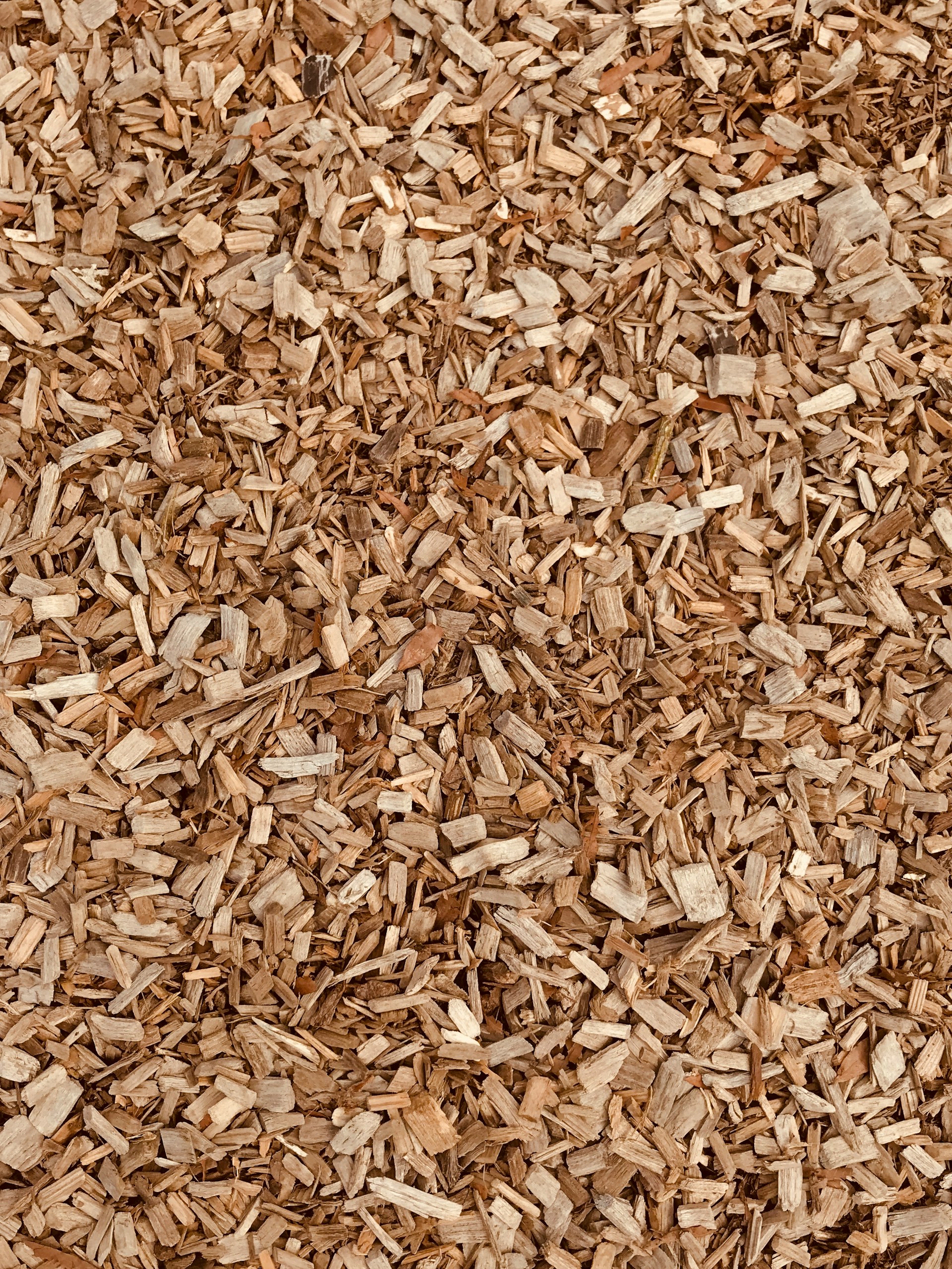 Image Illustre du coco utilisées pour le paillage